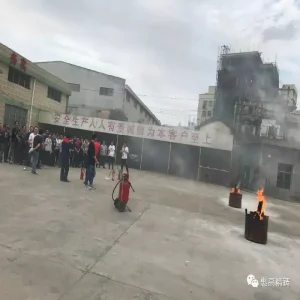 ウェンラスチール175